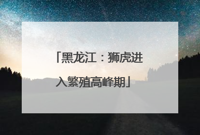 黑龙江：狮虎进入繁殖高峰期