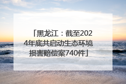 黑龙江：截至2024年底共启动生态环境损害赔偿案740件
