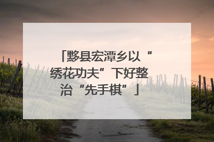 黟县宏潭乡以“绣花功夫”下好整治“先手棋”