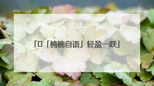 ﻿「楠楠自语」轻盈一跃