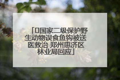 ﻿国家二级保护野生动物误食鱼钩被送医救治 郑州惠济区林业局回应