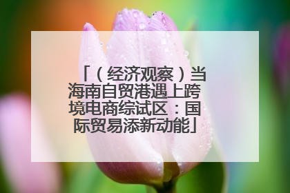（经济观察）当海南自贸港遇上跨境电商综试区：国际贸易添新动能