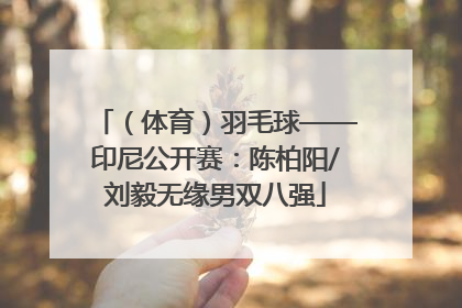 （体育）羽毛球——印尼公开赛：陈柏阳/刘毅无缘男双八强
