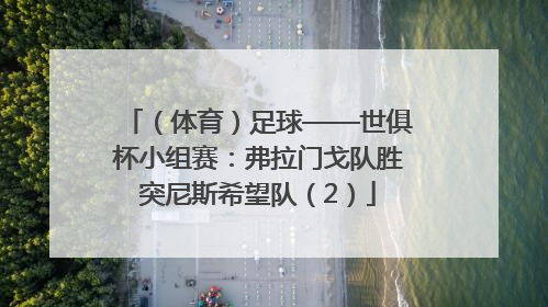 （体育）足球——世俱杯小组赛：弗拉门戈队胜突尼斯希望队（2）