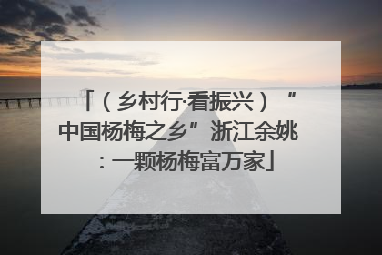 （乡村行·看振兴）“中国杨梅之乡”浙江余姚：一颗杨梅富万家