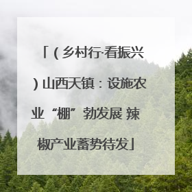（乡村行·看振兴）山西天镇：设施农业“棚”勃发展 辣椒产业蓄势待发
