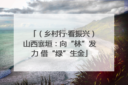 （乡村行·看振兴）山西襄垣：向“林”发力 借“绿”生金