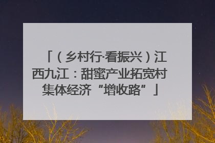 （乡村行·看振兴）江西九江：甜蜜产业拓宽村集体经济“增收路”