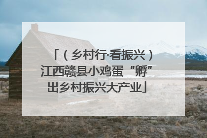（乡村行·看振兴）江西赣县小鸡蛋“孵”出乡村振兴大产业