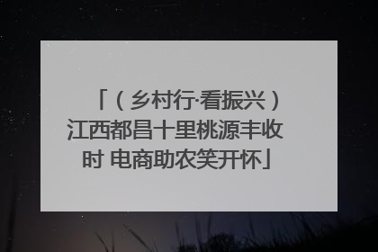 （乡村行·看振兴）江西都昌十里桃源丰收时 电商助农笑开怀
