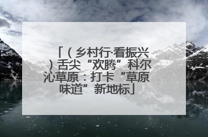 （乡村行·看振兴）舌尖“欢腾”科尔沁草原：打卡“草原味道”新地标