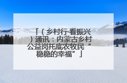 （乡村行·看振兴）通讯：内蒙古乡村公益岗托底农牧民“稳稳的幸福”