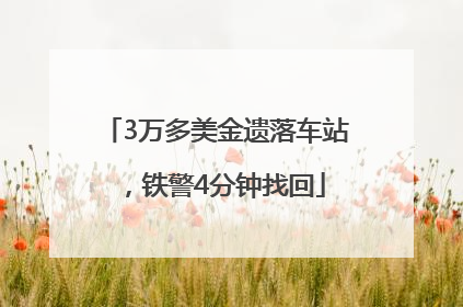 3万多美金遗落车站，铁警4分钟找回