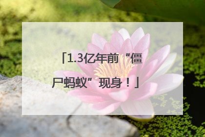 1.3亿年前“僵尸蚂蚁”现身！