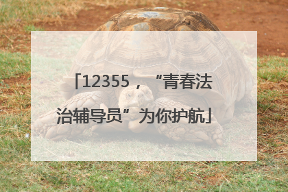 12355，“青春法治辅导员”为你护航