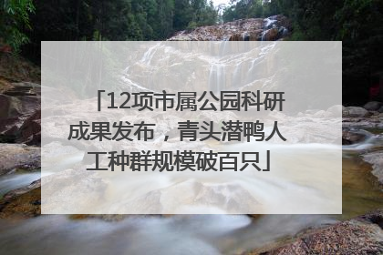 12项市属公园科研成果发布，青头潜鸭人工种群规模破百只
