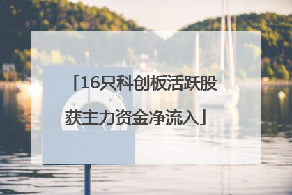16只科创板活跃股获主力资金净流入