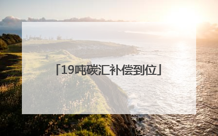 19吨碳汇补偿到位