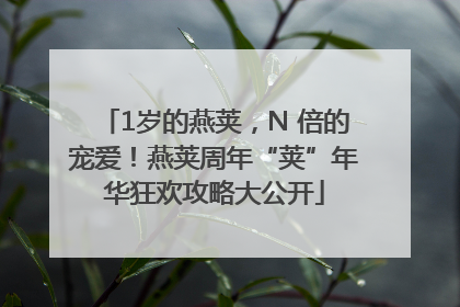 1岁的燕荚，N 倍的宠爱！燕荚周年“荚”年华狂欢攻略大公开