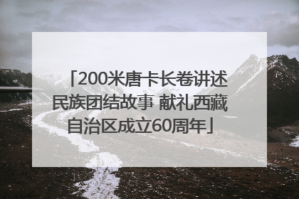 200米唐卡长卷讲述民族团结故事 献礼西藏自治区成立60周年