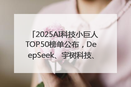 2025AI科技小巨人TOP50榜单公布，DeepSeek、宇树科技、蘑菇车联等企业荣誉上榜