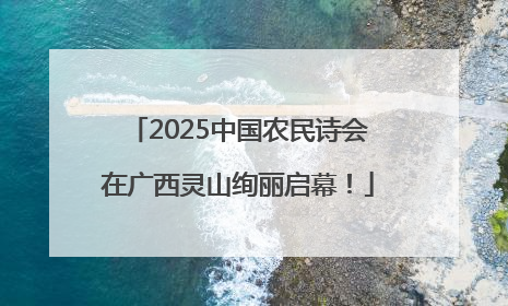 2025中国农民诗会在广西灵山绚丽启幕！