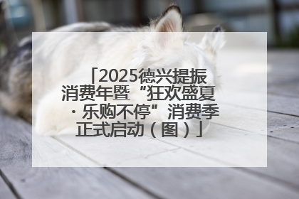 2025德兴提振消费年暨“狂欢盛夏・乐购不停”消费季正式启动（图）