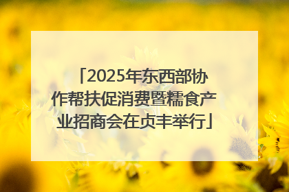 2025年东西部协作帮扶促消费暨糯食产业招商会在贞丰举行