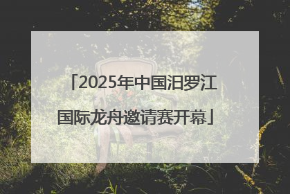 2025年中国汨罗江国际龙舟邀请赛开幕