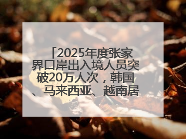 2025年度张家界口岸出入境人员突破20万人次，韩国、马来西亚、越南居客源国前三