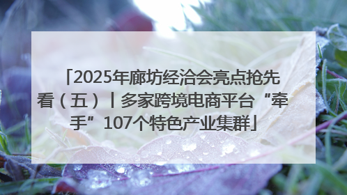 2025年廊坊经洽会亮点抢先看（五）丨多家跨境电商平台“牵手”107个特色产业集群