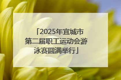 2025年宜城市第二届职工运动会游泳赛圆满举行