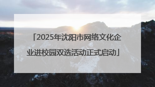 2025年沈阳市网络文化企业进校园双选活动正式启动