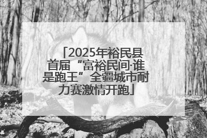 2025年裕民县首届“富裕民间·谁是跑王”全疆城市耐力赛激情开跑