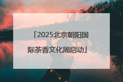 2025北京朝阳国际茶香文化周启动