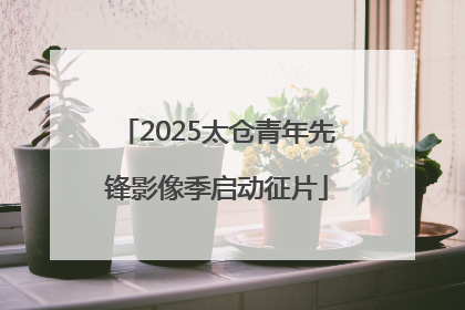 2025太仓青年先锋影像季启动征片