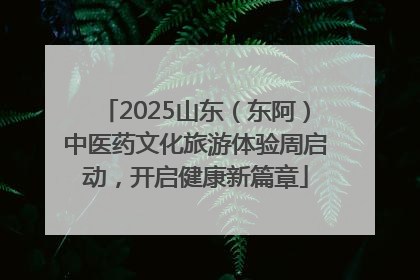 2025山东（东阿）中医药文化旅游体验周启动，开启健康新篇章