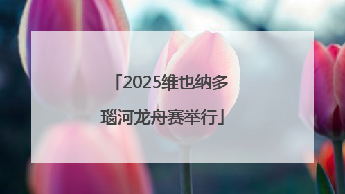 2025维也纳多瑙河龙舟赛举行