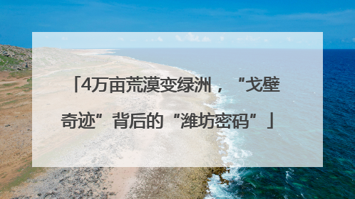 4万亩荒漠变绿洲，“戈壁奇迹”背后的“潍坊密码”