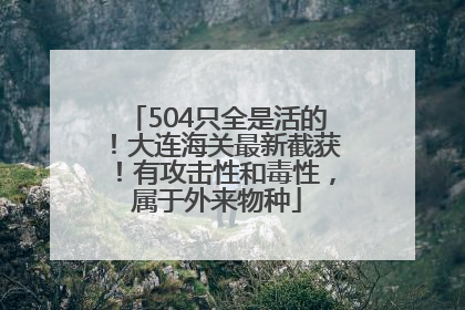 504只全是活的！大连海关最新截获！有攻击性和毒性，属于外来物种