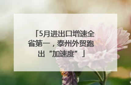 5月进出口增速全省第一，泰州外贸跑出“加速度”
