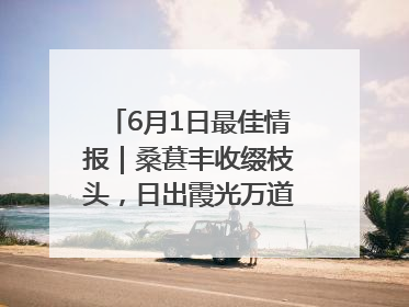 6月1日最佳情报｜桑葚丰收缀枝头，日出霞光万道蓬勃壮观！恭喜