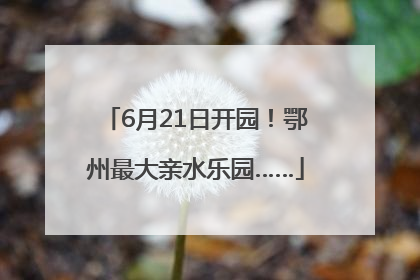 6月21日开园！鄂州最大亲水乐园……