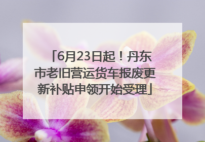 6月23日起！丹东市老旧营运货车报废更新补贴申领开始受理