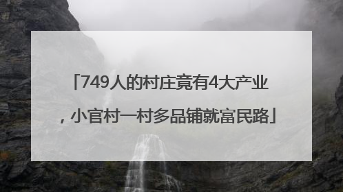 749人的村庄竟有4大产业，小官村一村多品铺就富民路