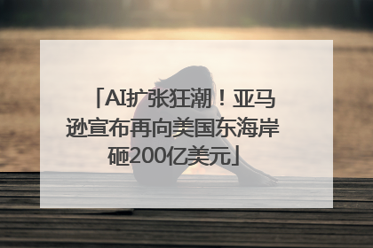 AI扩张狂潮！亚马逊宣布再向美国东海岸砸200亿美元