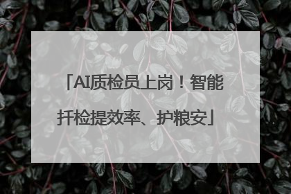 AI质检员上岗！智能扦检提效率、护粮安