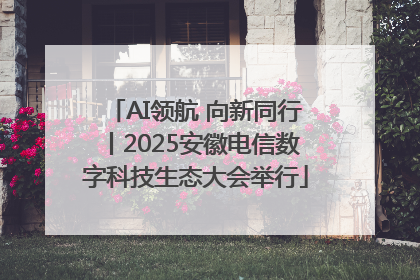 AI领航 向新同行丨2025安徽电信数字科技生态大会举行