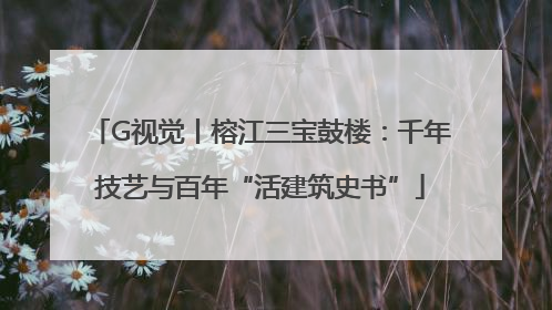 G视觉丨榕江三宝鼓楼：千年技艺与百年“活建筑史书”