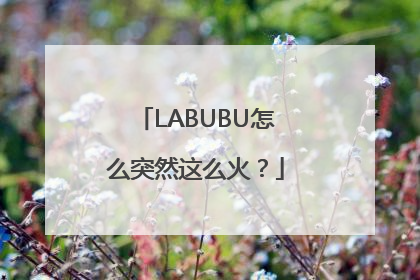 LABUBU怎么突然这么火？